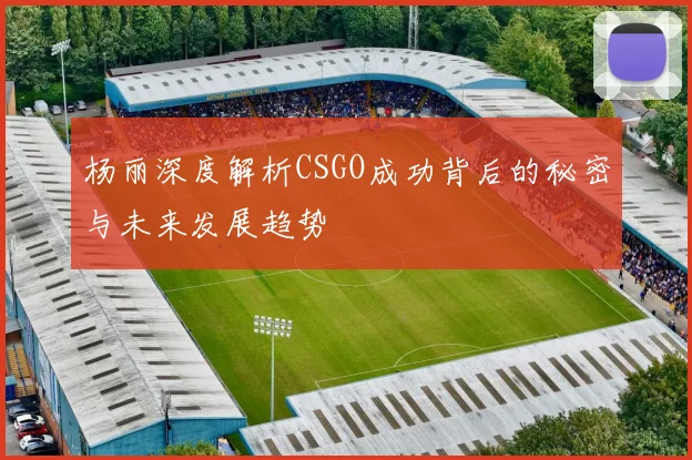 杨丽深度解析CSGO成功背后的秘密与未来发展趋势